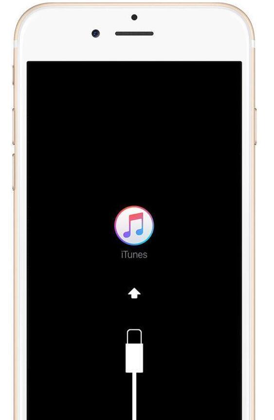 ipad忘记了appleid账号和密码怎么办，iPad忘记了ID和密码（iPhone或iPad忘记密码）