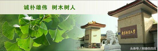 你不知道的校训“奥秘”