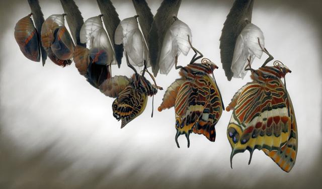 一沙一世界一叶一菩提的意思，一沙一世界一叶一菩提的意思是什么（每日一歌︱一叶一菩提）