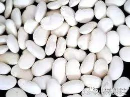 鲫鱼是不是发物，鲫鱼病人可以吃吗（再问世间何为发物）