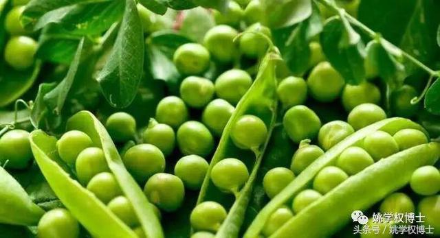 鲫鱼是不是发物，鲫鱼病人可以吃吗（再问世间何为发物）