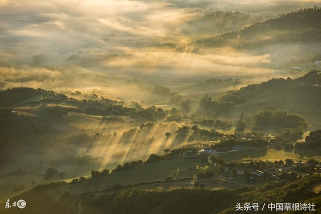 随意春芳歇王孙自可留的意思，随意春芳歇的歇是尽的意思吗（随意春芳歇，王孙自可留）