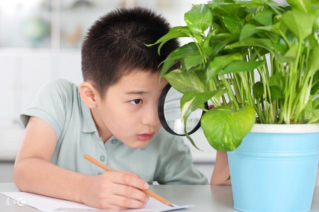 费力的反义词是什么，小学生常用近义词、反义词大全