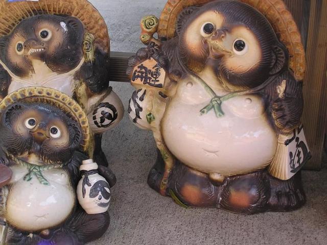 小熊猫和小浣熊一样吗，小熊猫和小浣熊区别（一篇文教你区分长得很像的浣熊、貉和小熊猫）