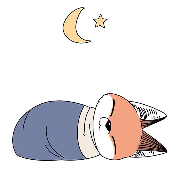 江七.废柴狐阿桔壁纸，废材狐阿桔壁纸（废柴狐阿桔漫画图片）