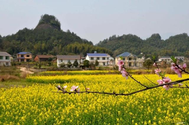 宅基地三权分置，宅基地三权分置什么意思（国土部：农村宅基地改革在即）