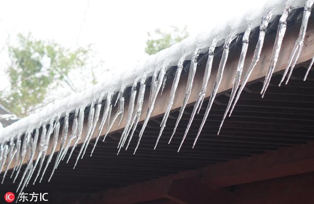 西湖景区许多建筑的屋檐下形成了一根根晶莹剔透的冰凌