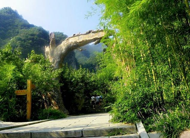 挣钱难的经典句子，生意难做的句子幽默的（老难了；花钱就像拉稀）