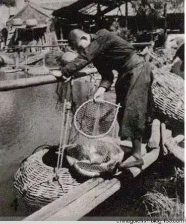 涫.上涫.网名，涫.上涫.（看古人如何养鱼！）