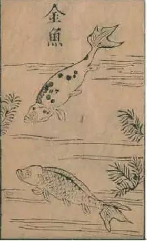 涫.上涫.网名，涫.上涫.（看古人如何养鱼！）