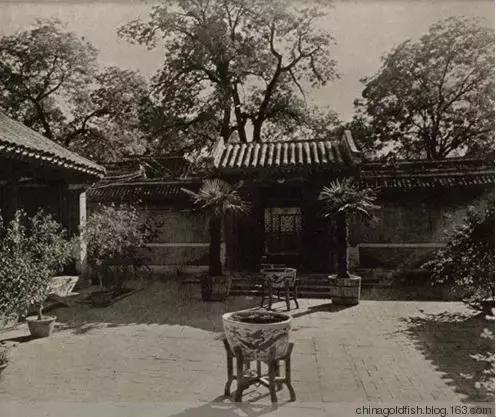 涫.上涫.网名，涫.上涫.（看古人如何养鱼！）