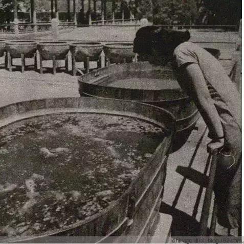 涫.上涫.网名，涫.上涫.（看古人如何养鱼！）