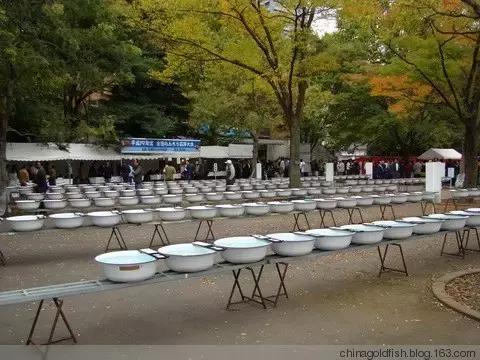 涫.上涫.网名，涫.上涫.（看古人如何养鱼！）