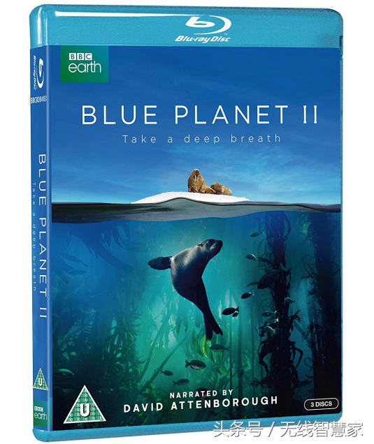 m2ts是什么文件，m2t文件是什么意思（蓝光原盘、蓝光Remux、BDRIP、WEB-DL这些都是什么意思）