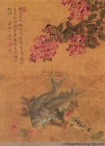 涫.上涫.网名，涫.上涫.（看古人如何养鱼！）