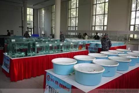 涫.上涫.网名，涫.上涫.（看古人如何养鱼！）