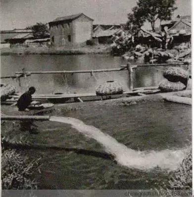 涫.上涫.网名，涫.上涫.（看古人如何养鱼！）