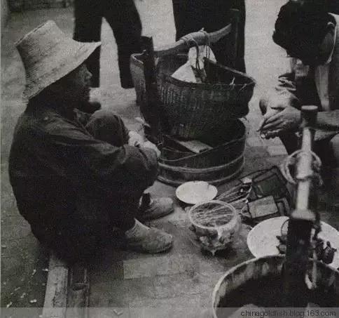 涫.上涫.网名，涫.上涫.（看古人如何养鱼！）