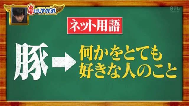 猪为什么叫豚，豚为什么是小猪（嘲讽特定粉丝的“豚”字）
