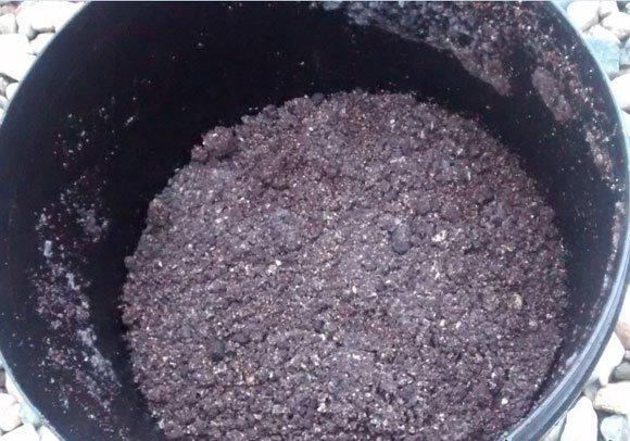 小飞虫怎么消灭小窍门，花里的小飞虫怎么消灭小窍门（根系健壮10年不生虫）