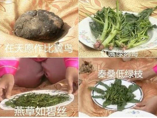做菜猜菜名大全，看菜名你能猜出来是什么菜吗