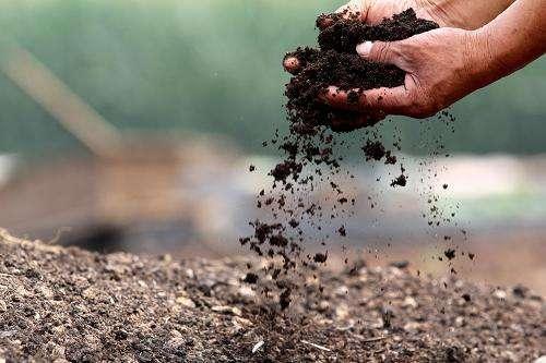 小飞虫怎么消灭小窍门，花里的小飞虫怎么消灭小窍门（根系健壮10年不生虫）