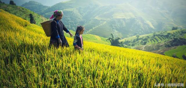 云南有多少个少数民族，云南有多少个民族（云南那么多少数民族是从哪来的）