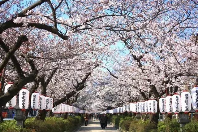 镰仓在日本哪里，日本的镰仓是个什么样的地方（日本旅游，史上最全镰仓攻略）