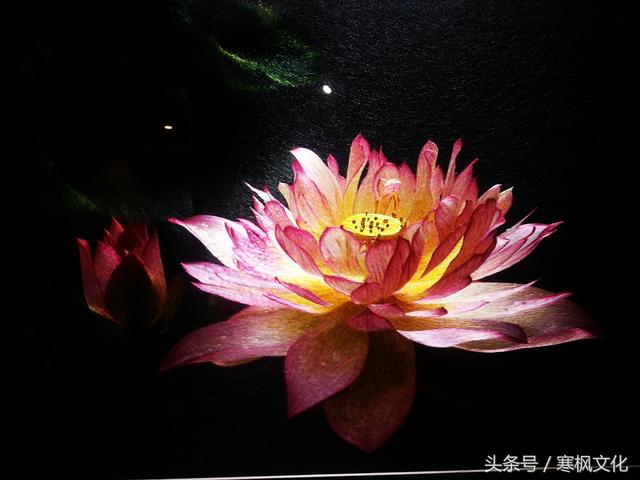 东方艺术明珠四大名绣是什么，东方明珠的四大名绣（中国传统刺绣“四大名绣”）
