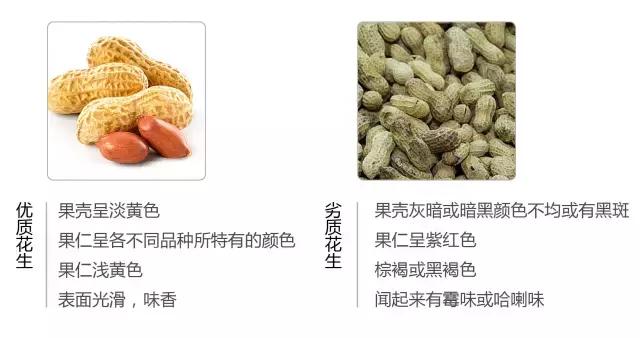 角瓜子的营养价值有哪些，角瓜有什么营养价值（究竟怎么选才能买到安全又健康的坚果）