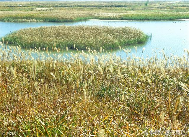 西海在什么地方，西海什么地方有做快艇（《西游记》中的西海在什么地方你知道吗）