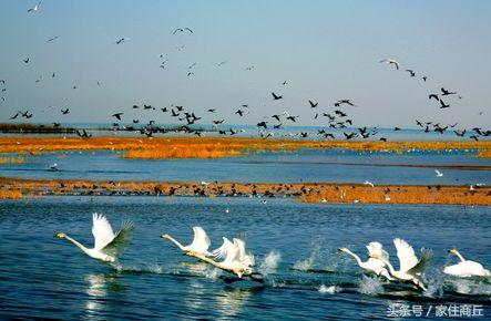 西海在什么地方，西海什么地方有做快艇（《西游记》中的西海在什么地方你知道吗）