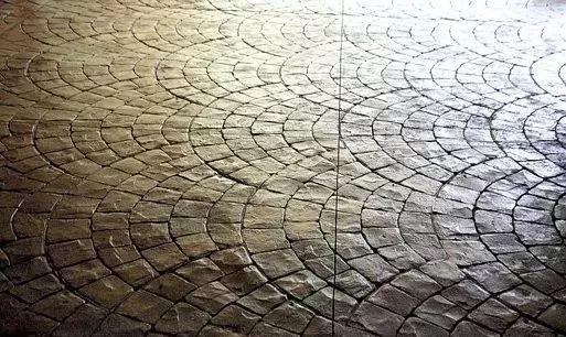 质数是什么意思，指数是什么意思数学初一（最全数学各个分支简介）