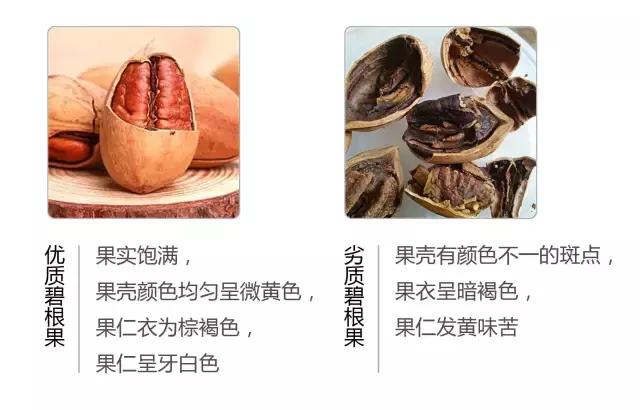 角瓜子的营养价值有哪些，角瓜有什么营养价值（究竟怎么选才能买到安全又健康的坚果）