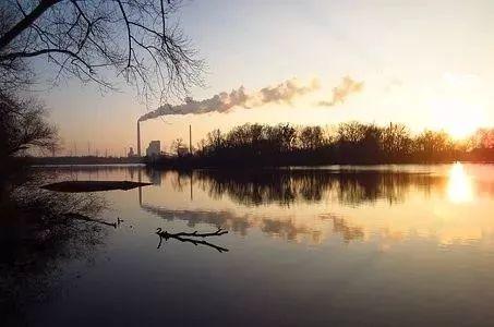 质数是什么意思，指数是什么意思数学初一（最全数学各个分支简介）