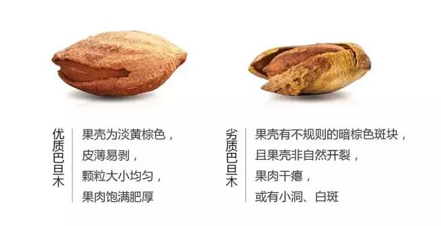 角瓜子的营养价值有哪些，角瓜有什么营养价值（究竟怎么选才能买到安全又健康的坚果）