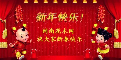 全冠香樟是什么意思，丛生全冠香樟（全冠香樟种植技术）