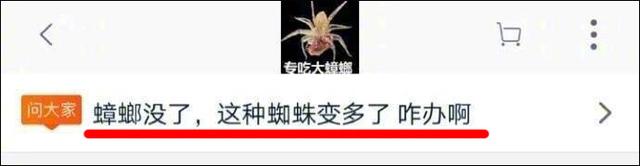 蜘蛛吃蟑螂吗，那些买了大蜘蛛回家吃蟑螂的人（蜘蛛吃蟑螂吗蜘蛛看到光就跑）