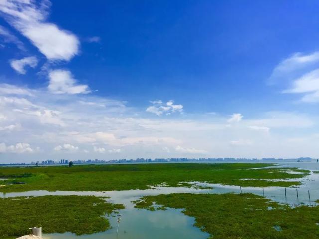 广西北海旅游景点，北海著名旅游景点（北海十大观海黄金点）