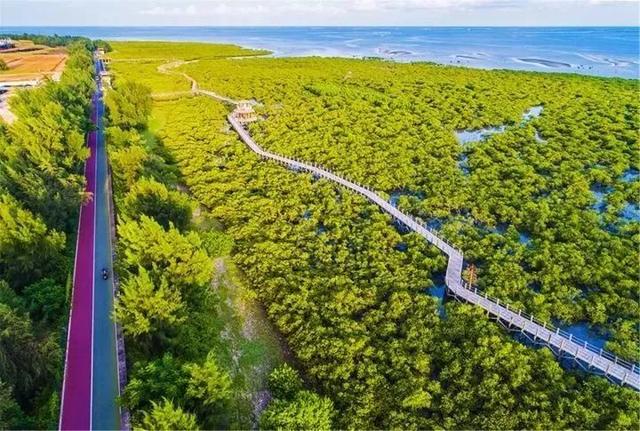 广西北海旅游景点，北海著名旅游景点（北海十大观海黄金点）