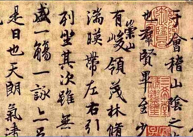 藤蔓怎么读，藤蔓读什么音（看看你高中语文还会不会）