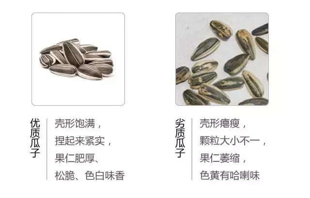 角瓜子的营养价值有哪些，角瓜有什么营养价值（究竟怎么选才能买到安全又健康的坚果）