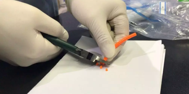 每天跳绳危害，怎样正确跳绳减肥（跳绳时千万别抓这里）