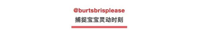 简短霸气的晒娃句子，简短霸气晒娃的句子（这才是晒娃的最高级段位）