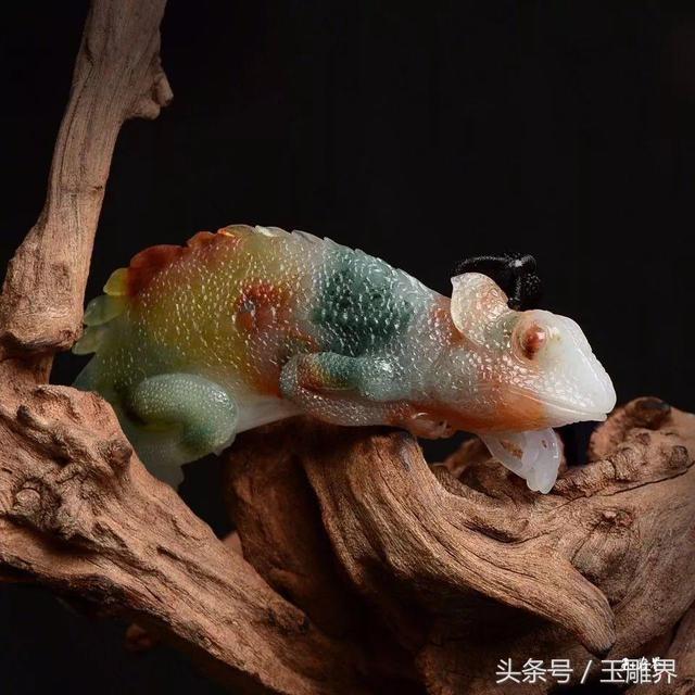 变色龙和蜥蜴的区别，“花翡翠”被他琢成变色龙（蜥蜴跟变色龙的区别）