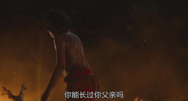 老虎为什么打不过黑豹，老虎为什么怕黑豹（《奇幻森林》黑豹和老虎你觉得谁的战斗力更强）