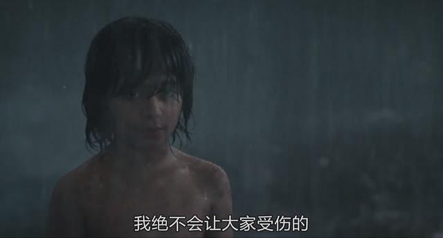 老虎为什么打不过黑豹，老虎为什么怕黑豹（《奇幻森林》黑豹和老虎你觉得谁的战斗力更强）