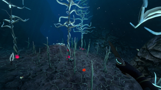 深海迷航蛇菇洞入口图片