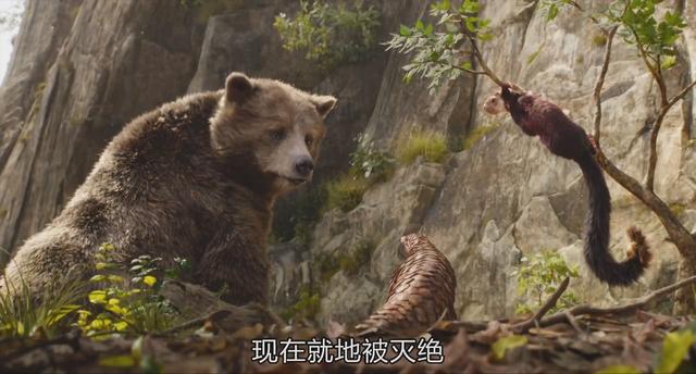 老虎为什么打不过黑豹，老虎为什么怕黑豹（《奇幻森林》黑豹和老虎你觉得谁的战斗力更强）