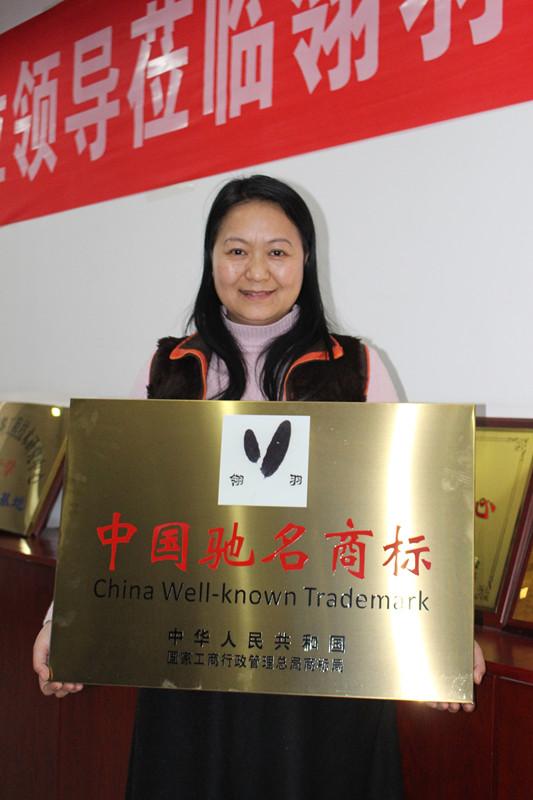 翎羽的是什么意思，“翎羽”被认定为